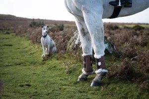 Sixteen Cypress Faux Sheepskin Lined Brushing Boots - Pair